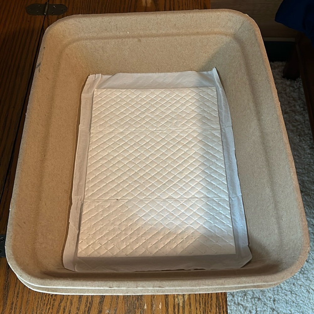 Disposable litter box 2pk